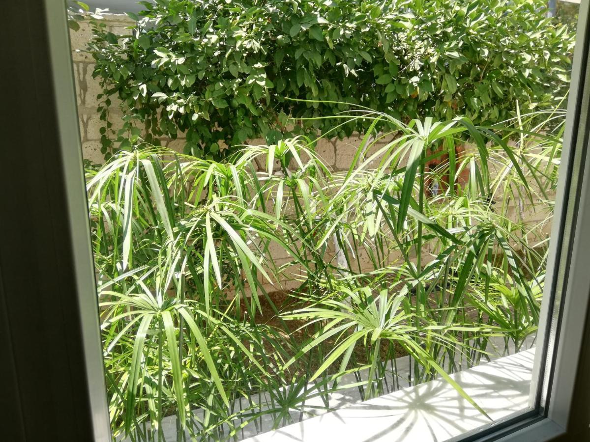 Luna 阿拉恰特 外观 照片